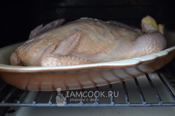 Поставить курицу в духовку