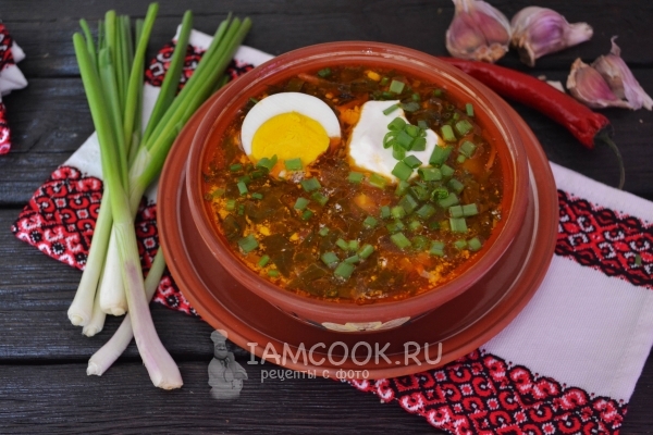 Фото зелёного борща со щавелем и яйцом