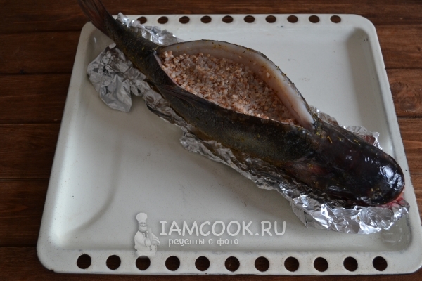 Нафаршировать рыбу гречкой