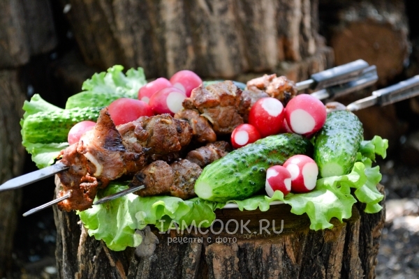 Фото шашлыка из баранины классический рецепт