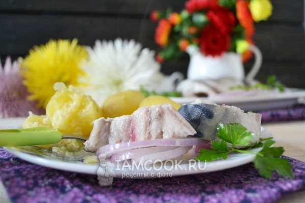 Рецепт малосольной скумбрии