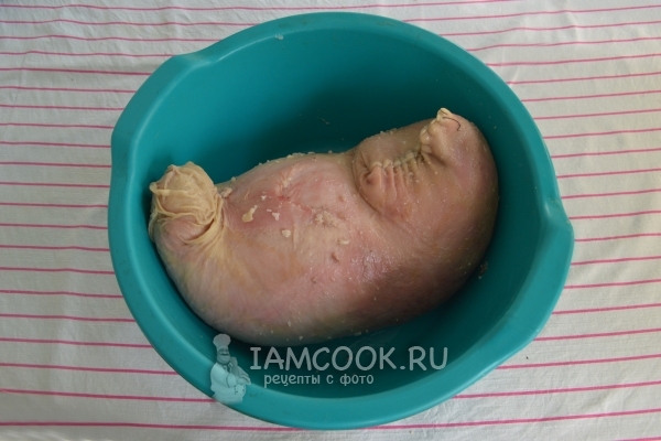 Зашить желудок