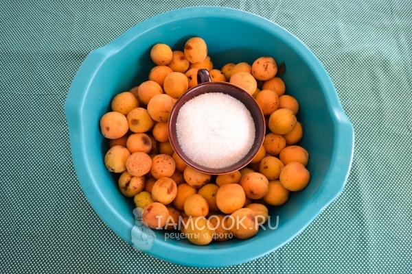 Ингредиенты для пастилы из абрикосов в домашних условиях