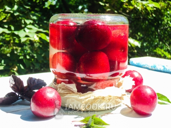 Фото алычи в сиропе на зиму