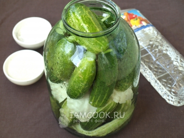 Наполнить банку огурцами