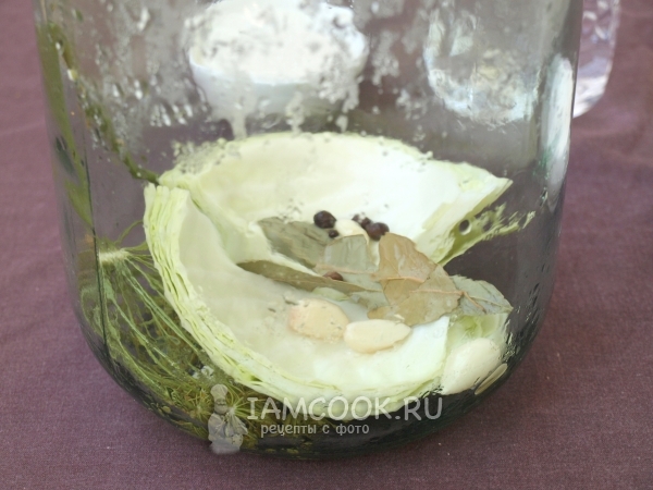 Положить в банку капусту, специи, чеснок и укроп