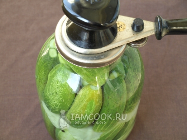 Закатать банку крышкой