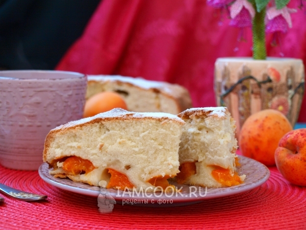 Рецепт шарлотки с абрикосами