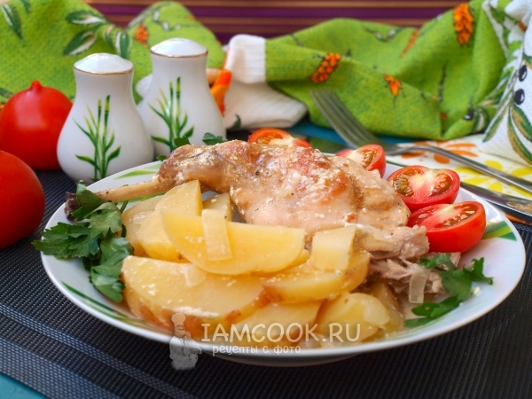 Рецепт тушеного кролика в сметане с картошкой