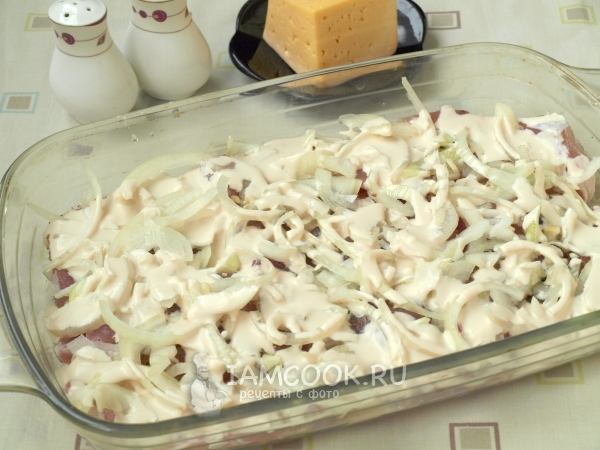 Положить на мясо лук с соусом