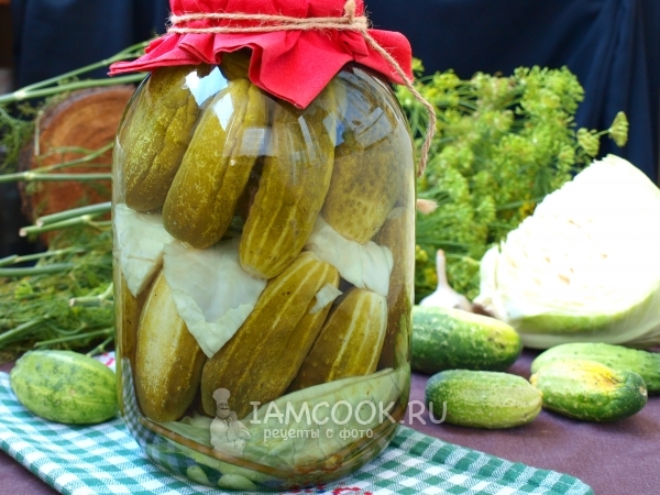 Фото огурцов, маринованных с капустой