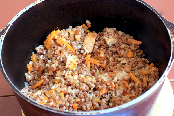 Фото плова из гречки с курицей