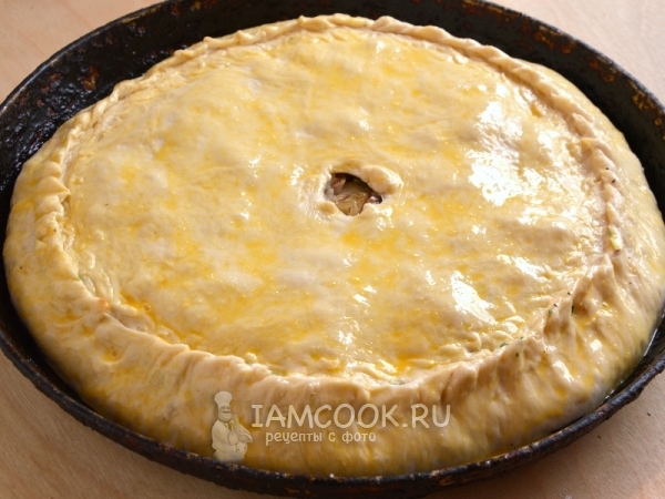 Смазать пирог желтком