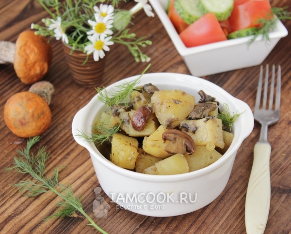 Фото жаркого с грибами и картошкой