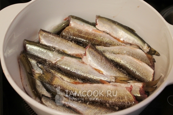 Посолить рыбу