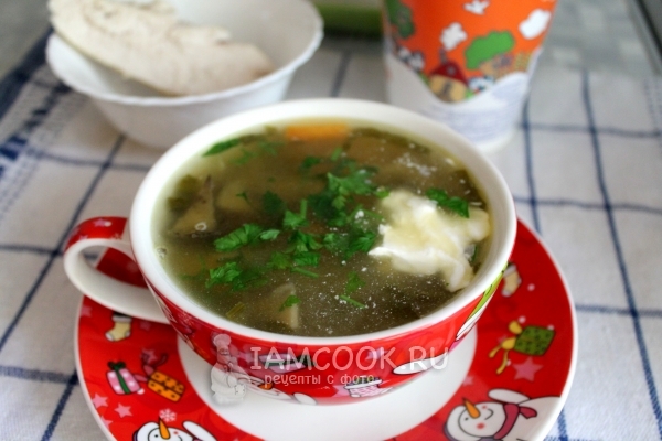 Фото грибного супа из свежих подосиновиков