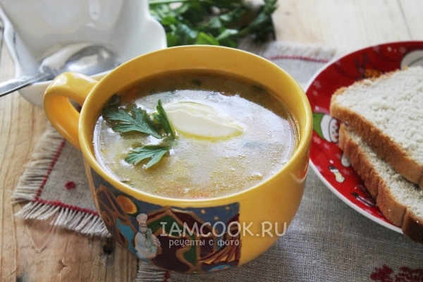 Фото грибного супа из свежих грибов