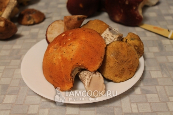 Подосиновики