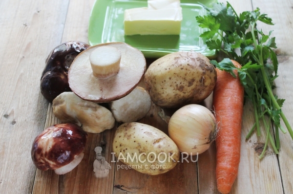 Ингредиенты для грибного супа из свежих грибов