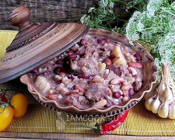 Говый чолнт