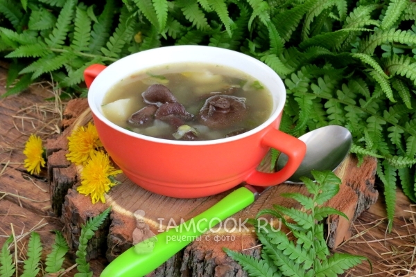 Фото постного грибного супа из замороженных грибов