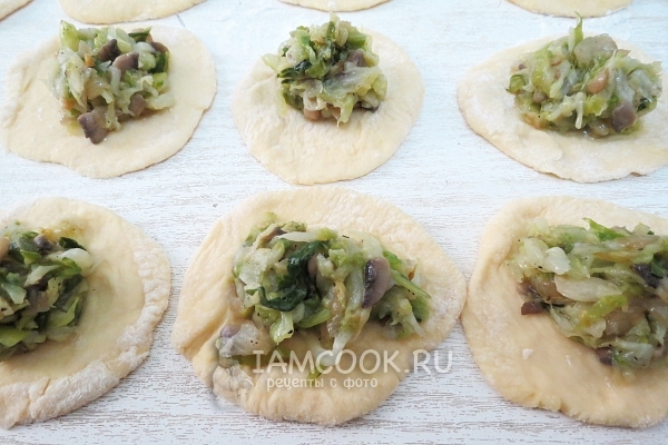 Положить на тесто начинку