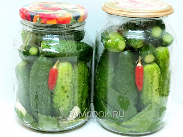 Наполнить банки огурцами и специями