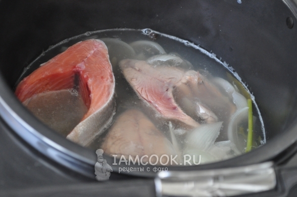 Положить в бульон рыбу