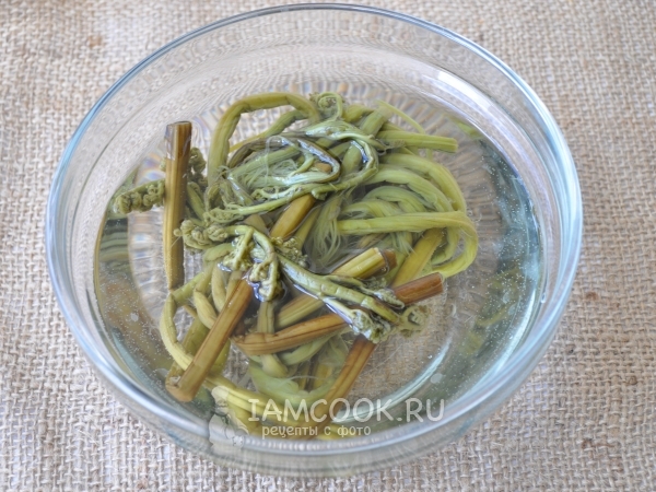 Положить папоротник в воду