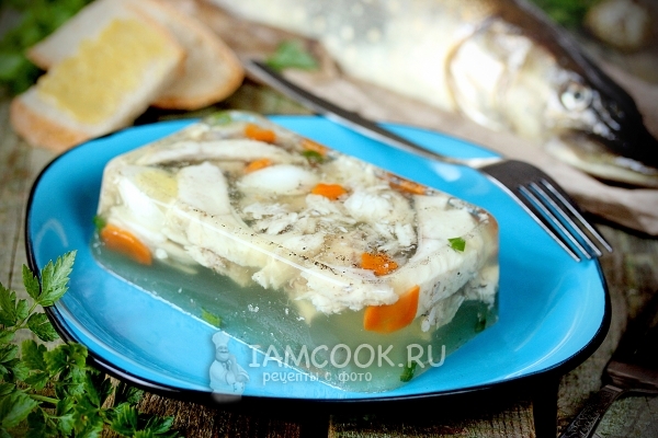 Фото заливного из щуки