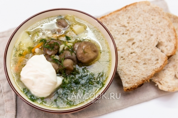 Фото постного грибного супа с шампиньонами и перловкой