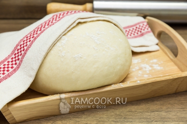 Фото дрожжевого теста на подсолнечном масле для печеных пирожков