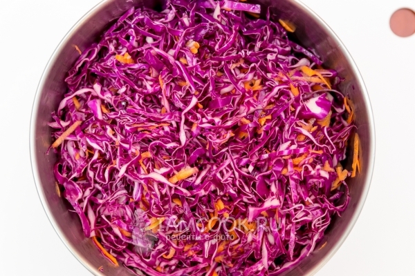 Рецепт маринованной краснокочанной капусты быстрого приготовления