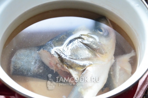 Положить рыбу в кастрюлю с водой