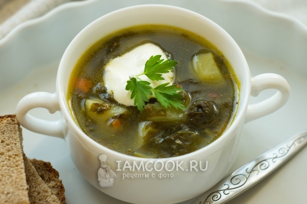 Фото зелёного борща без мяса