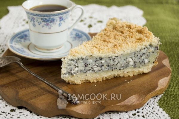 Фото пирога с творогом, маком и манной крупой