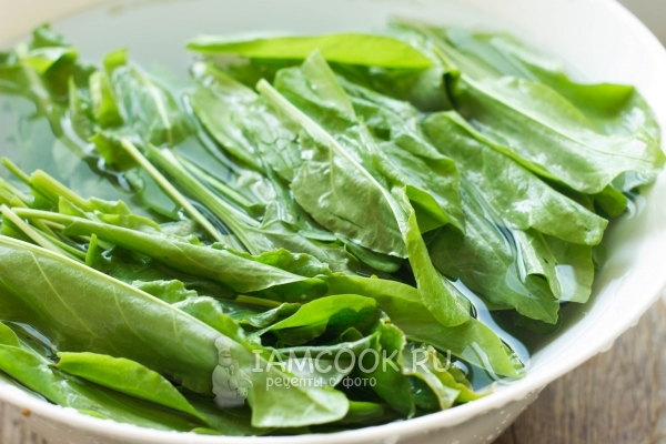 Промыть щавель