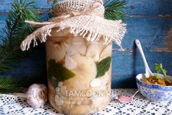 Фото соленых груздей холодным способом в банках