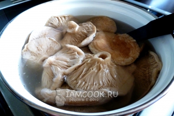 Варим грузди