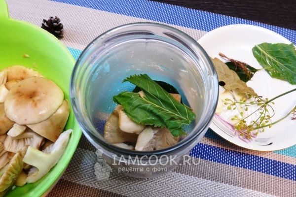 Положить в банку грибы