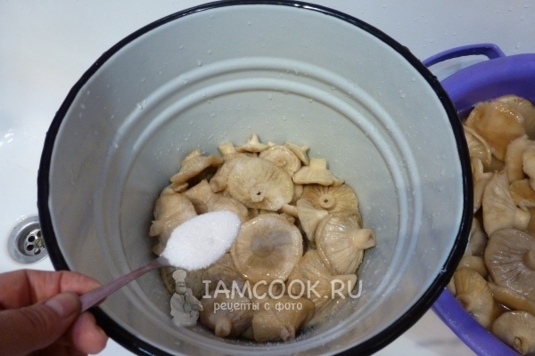 Всыпать к грибам сахар