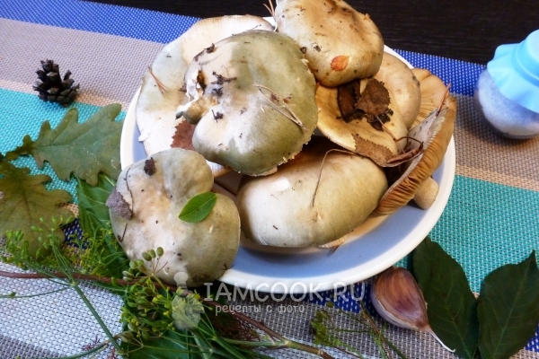 Ингредиенты для сыроежек горячим способом