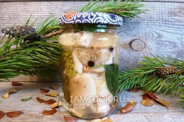 Рецепт сыроежек горячим способом