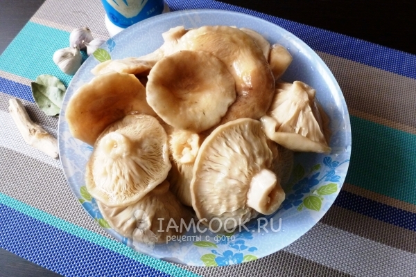 Вымачиваем грузди