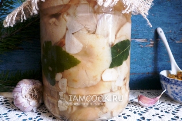 Рецепт соленых груздей холодным способом в банках