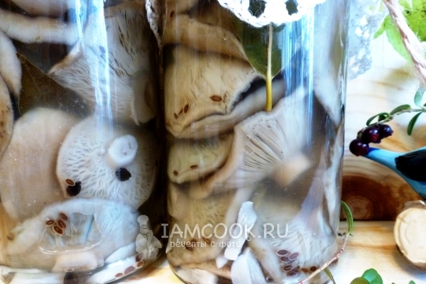 Маринованные грузди на зиму