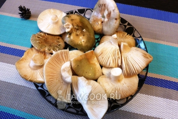 Помыть грибы