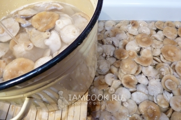 Помыть грибы