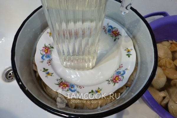 Положить на грибы груз