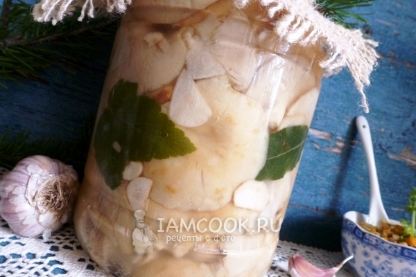 Соленые грузди холодным способом в банках